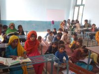 WhatsApp Image 2026-03-14 at 1.23.25 PM (1)